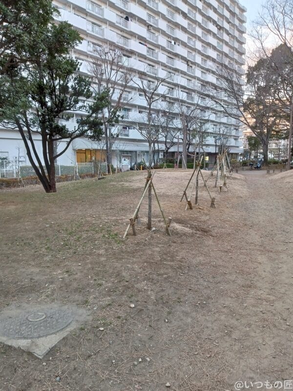 libero5g2-photo-01 | スマホを検証してみた 近所の公園写真