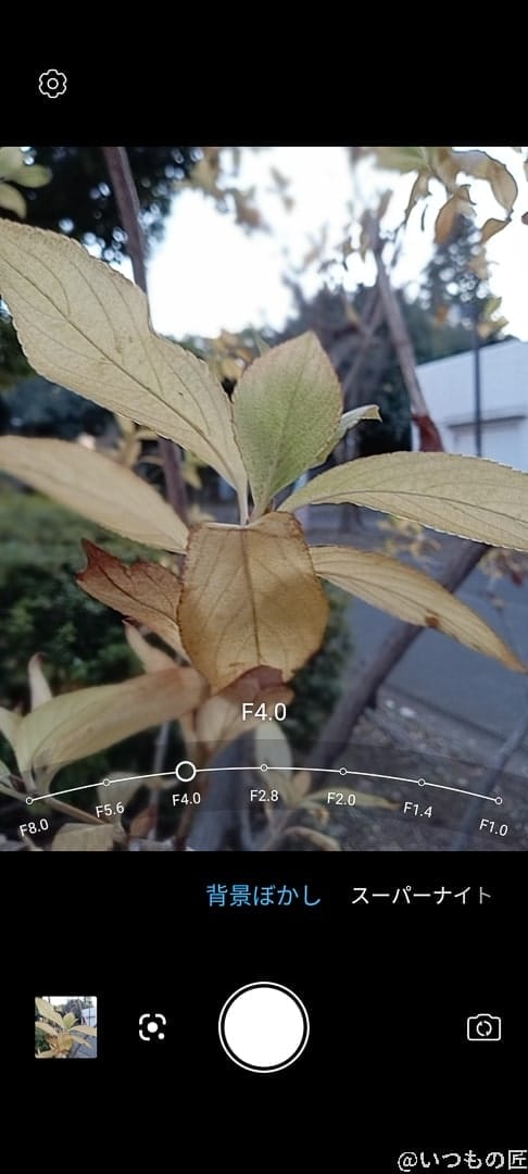 libero 5g Ⅱカメラ機能の背景ぼかし | スマホを検証してみた Libero 5G Ⅱカメラ機能の背景ぼかし