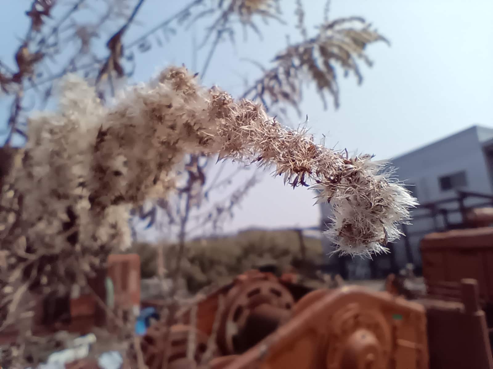 Libero 5G Ⅲ（リベロ5G3）の被写界深度カメラで撮影できるクオリティをユーザーに伝えるためのレビュー写真