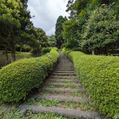 Google Pixel 7aの超広角レンズでの作例3