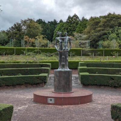 広角カメラ（光学ズーム2倍）