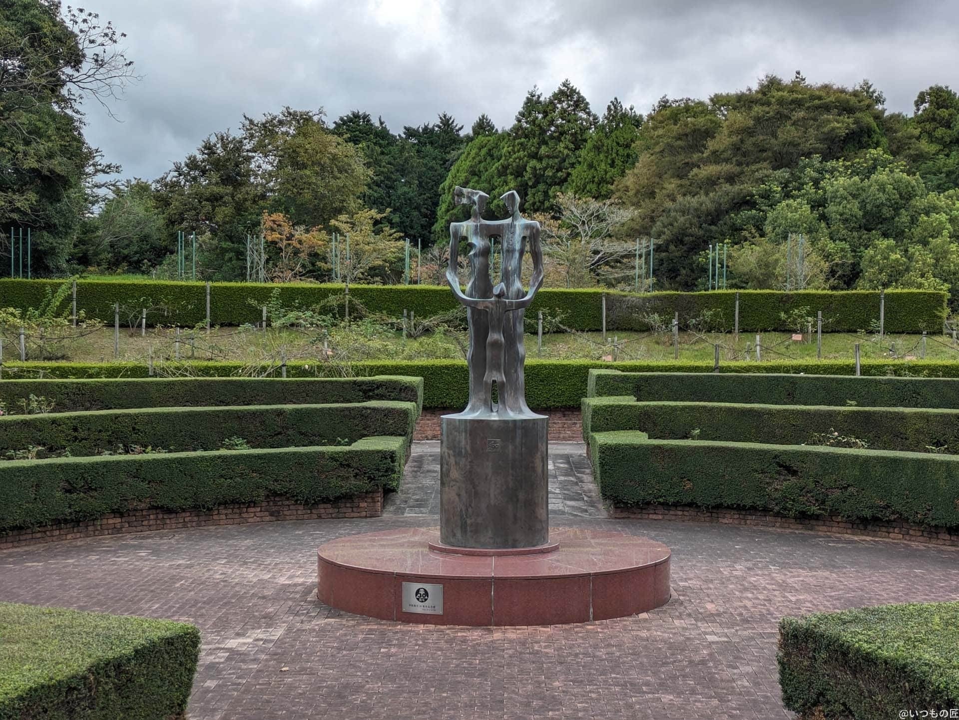 広角カメラ（光学ズーム2倍）