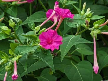 google-pixel-7a-photo-zoom-40-1 | スマホを検証してみた デジタルズーム 4.0倍