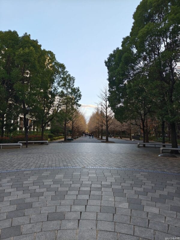 AQUOS R9 pro カメラ
AQUOS R9 pro で撮影した風景写真