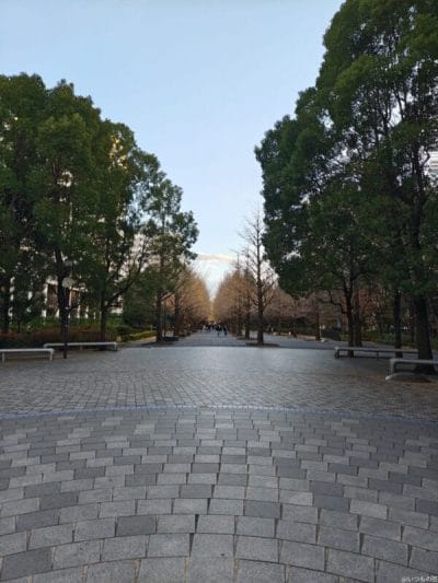 aquos r9 pro で撮影した風景写真 | スマホを検証してみた AQUOS R9 pro カメラ AQUOS R9 pro で撮影した風景写真