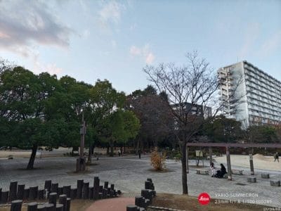 aquos r9 pro で撮影した風景写真 | スマホを検証してみた AQUOS R9 pro カメラ AQUOS R9 pro で撮影した風景写真