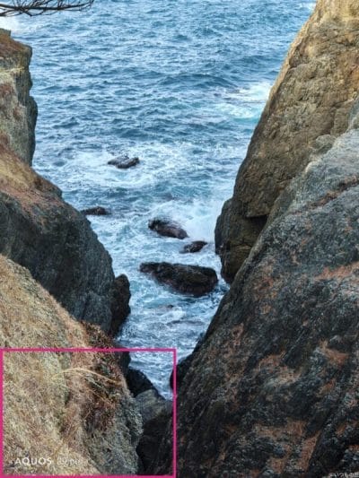 aquos r9 pro で撮影した風景写真 | スマホを検証してみた AQUOS R9 pro カメラ AQUOS R9 pro で撮影した風景写真