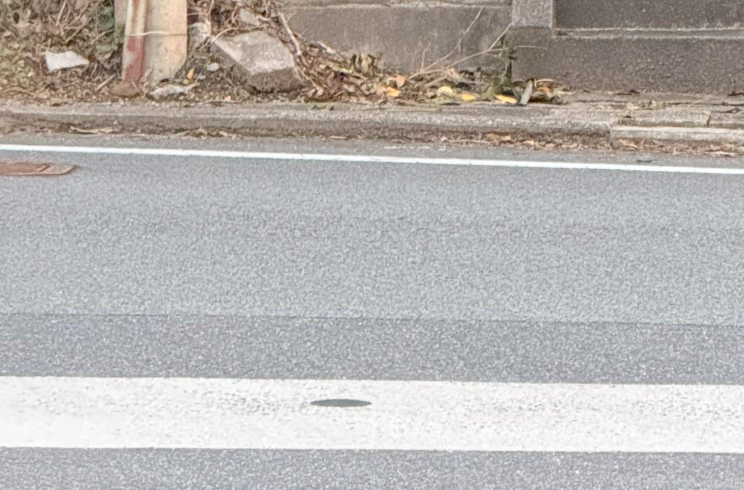 AQUOS R9 pro カメラ
iPhone 16 Pro MAXで撮影した風景写真