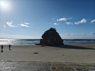 aquos r9 proでズーム撮影した写真 | スマホを検証してみた AQUOS R9 pro カメラ AQUOS R9 proでズーム撮影した写真