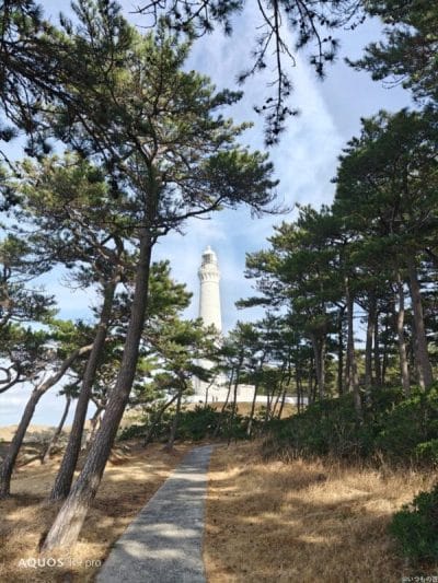 aquos r9 proでズーム撮影した写真 | スマホを検証してみた AQUOS R9 pro カメラ AQUOS R9 proでズーム撮影した写真