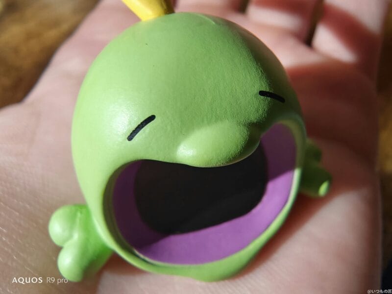 AQUOS R9 pro カメラ
AQUOS R9 proでマクロ撮影した写真