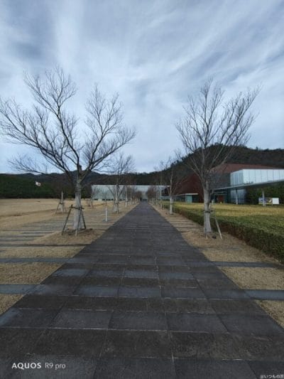 aquos r9 proで撮影した風景写真 | スマホを検証してみた AQUOS R9 pro カメラ AQUOS R9 proで撮影した風景写真