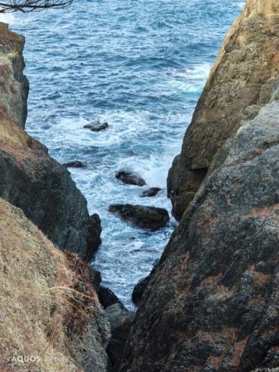 aquos r9 proで撮影した風景写真 | スマホを検証してみた AQUOS R9 pro カメラ AQUOS R9 proで撮影した風景写真