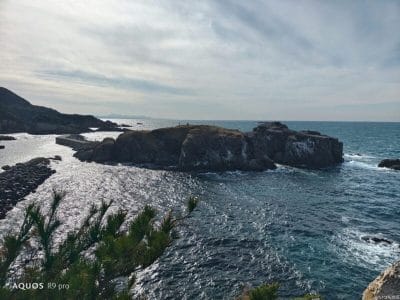 aquos r9 proで撮影した風景写真 | スマホを検証してみた AQUOS R9 pro カメラ AQUOS R9 proで撮影した風景写真