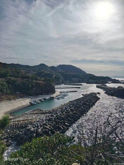 aquos r9 proで撮影した風景写真 | スマホを検証してみた AQUOS R9 pro カメラ AQUOS R9 proで撮影した風景写真