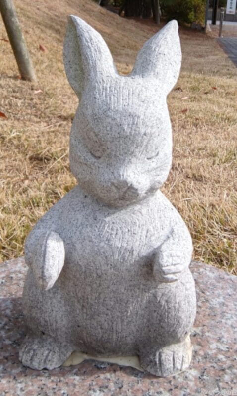 AQUOS R9 pro カメラ
AQUOS R9 proのインカメラで撮影した写真