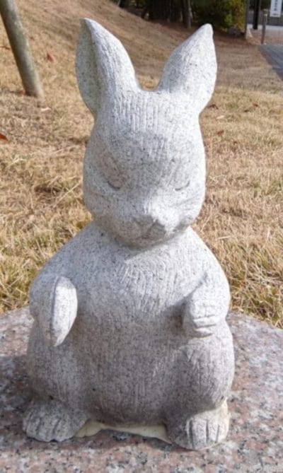 aquos r9 proのインカメラで撮影した写真 | スマホを検証してみた AQUOS R9 pro カメラ AQUOS R9 proのインカメラで撮影した写真