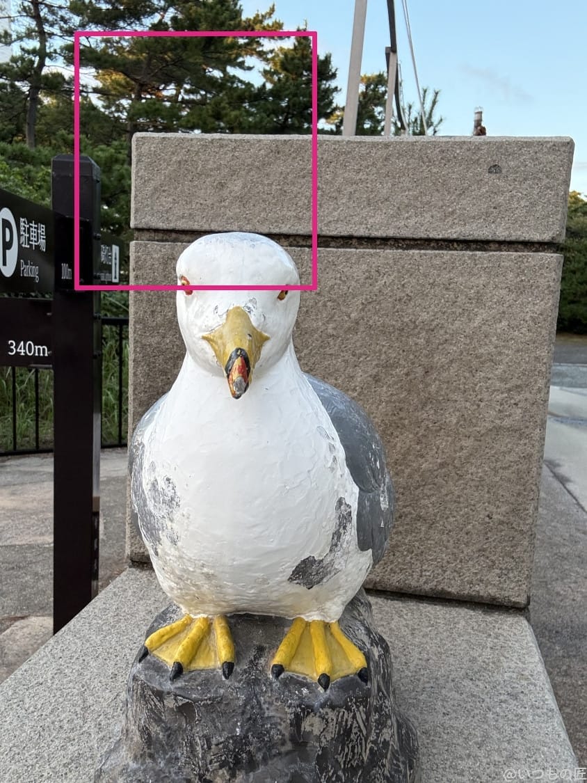 AQUOS R9 pro カメラ iPhone 16 Pro MAXのインカメラで撮影した写真