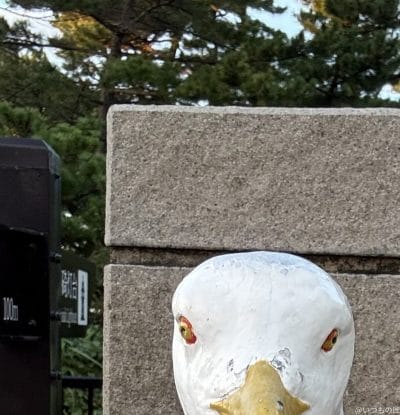 iphone 16 pro maxのインカメラで撮影した写真 | スマホを検証してみた AQUOS R9 pro カメラ iPhone 16 Pro MAXのインカメラで撮影した写真