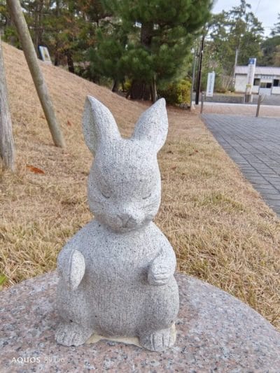 aquos r9 proのインカメラで撮影した写真 | スマホを検証してみた AQUOS R9 pro カメラ AQUOS R9 proのインカメラで撮影した写真