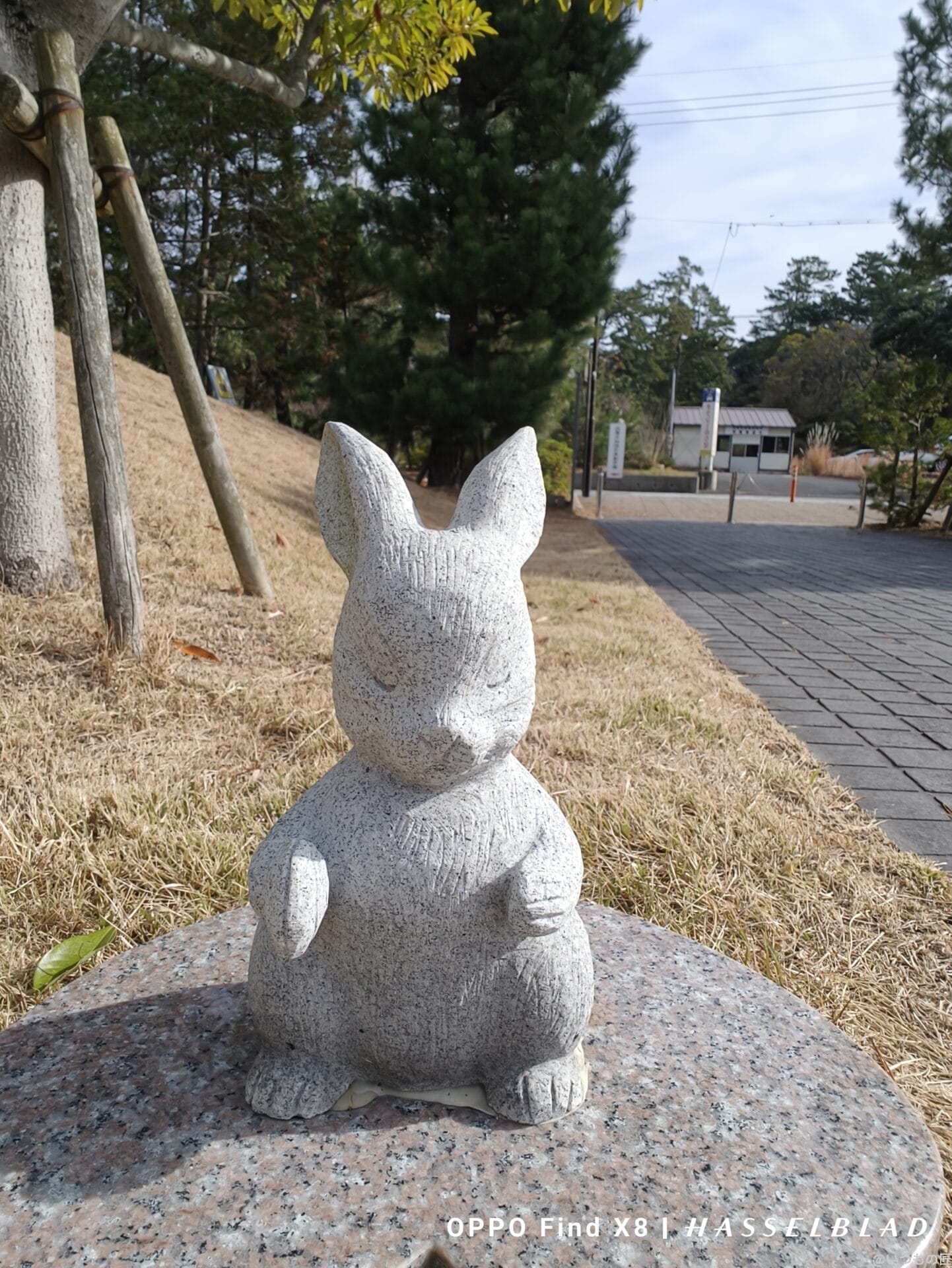 AQUOS R9 pro カメラ
AQUOS R9 proのインカメラで撮影した写真