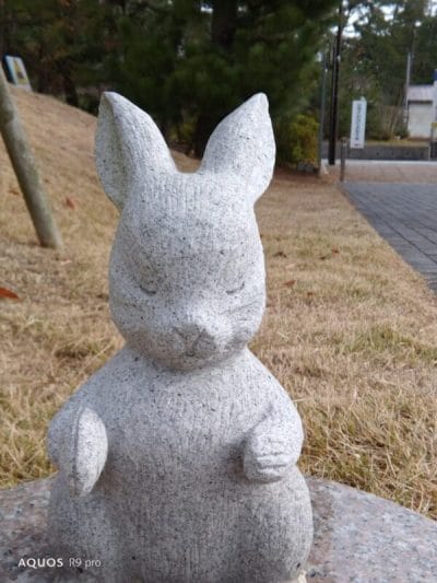 aquos r9 proのインカメラで撮影した写真 | スマホを検証してみた AQUOS R9 pro カメラ AQUOS R9 proのインカメラで撮影した写真