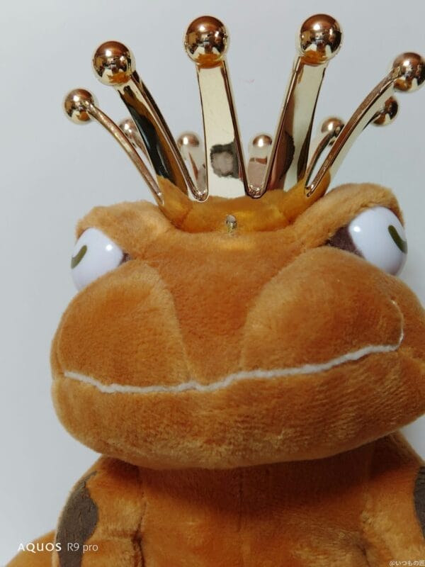 AQUOS R9 pro カメラ
AQUOS R9 proのインカメラで撮影した写真