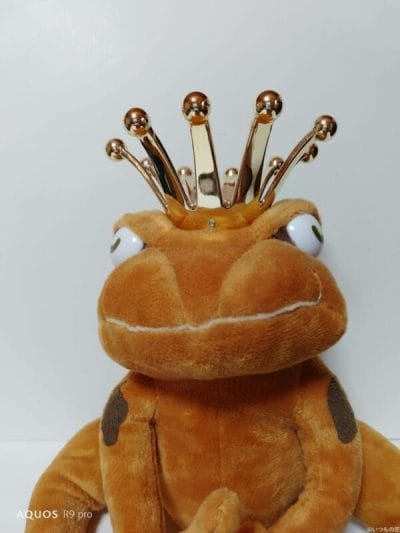 aquos r9 proのインカメラで撮影した写真 | スマホを検証してみた AQUOS R9 pro カメラ AQUOS R9 proのインカメラで撮影した写真