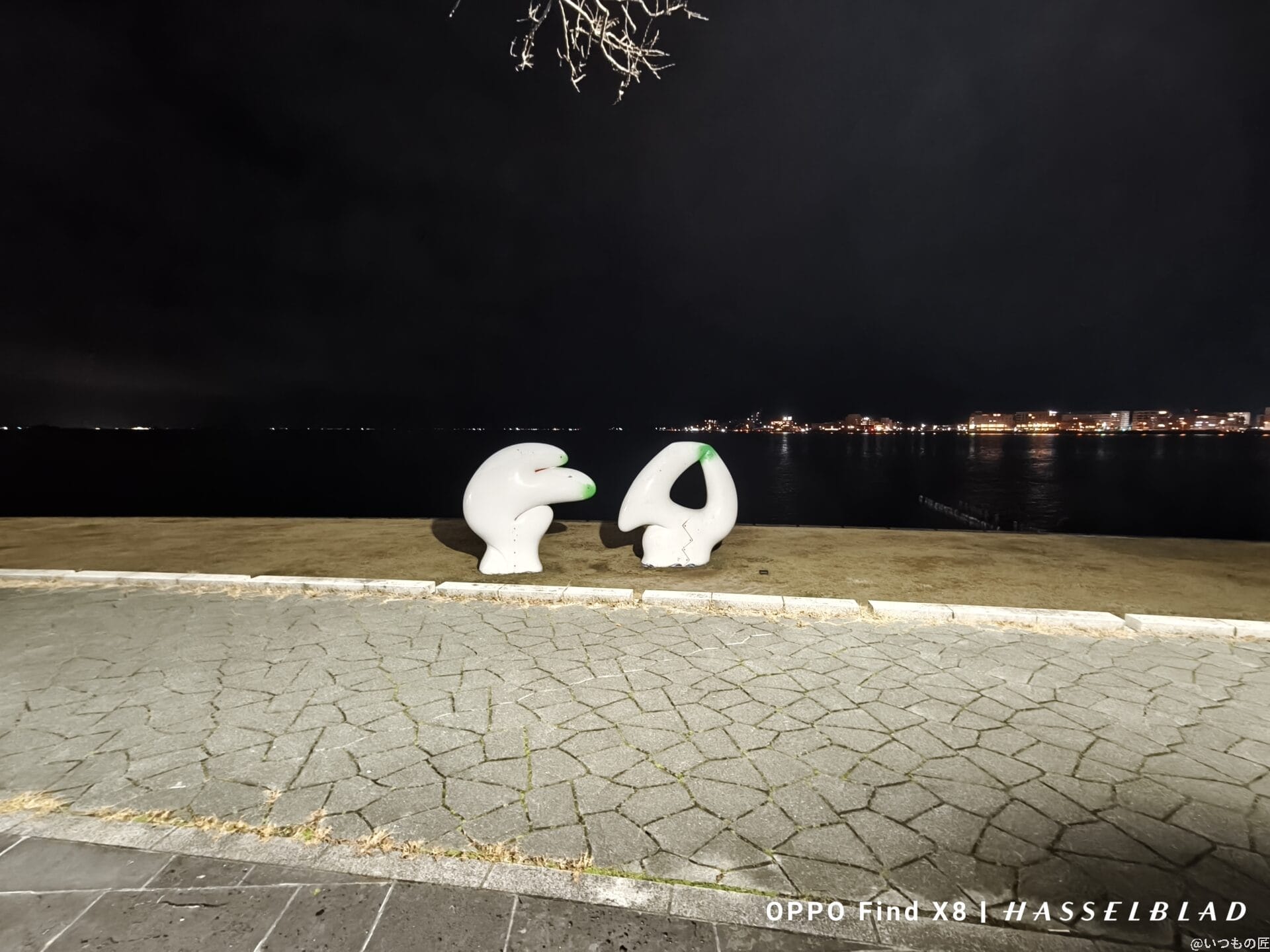 AQUOS R9 pro カメラ
AQUOS R9 proでズーム撮影した夜間写真