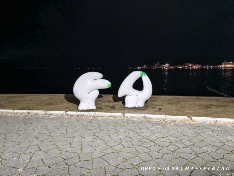 AQUOS R9 pro カメラ
AQUOS R9 proでズーム撮影した夜間写真