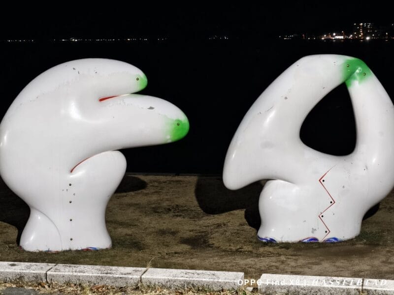 AQUOS R9 pro カメラ
AQUOS R9 proでズーム撮影した夜間写真
