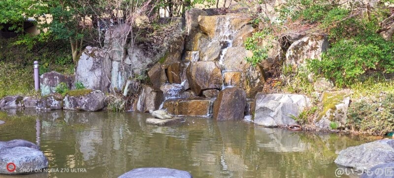 nubia Z70 Ultra 35mm 近距離を撮影した風景写真