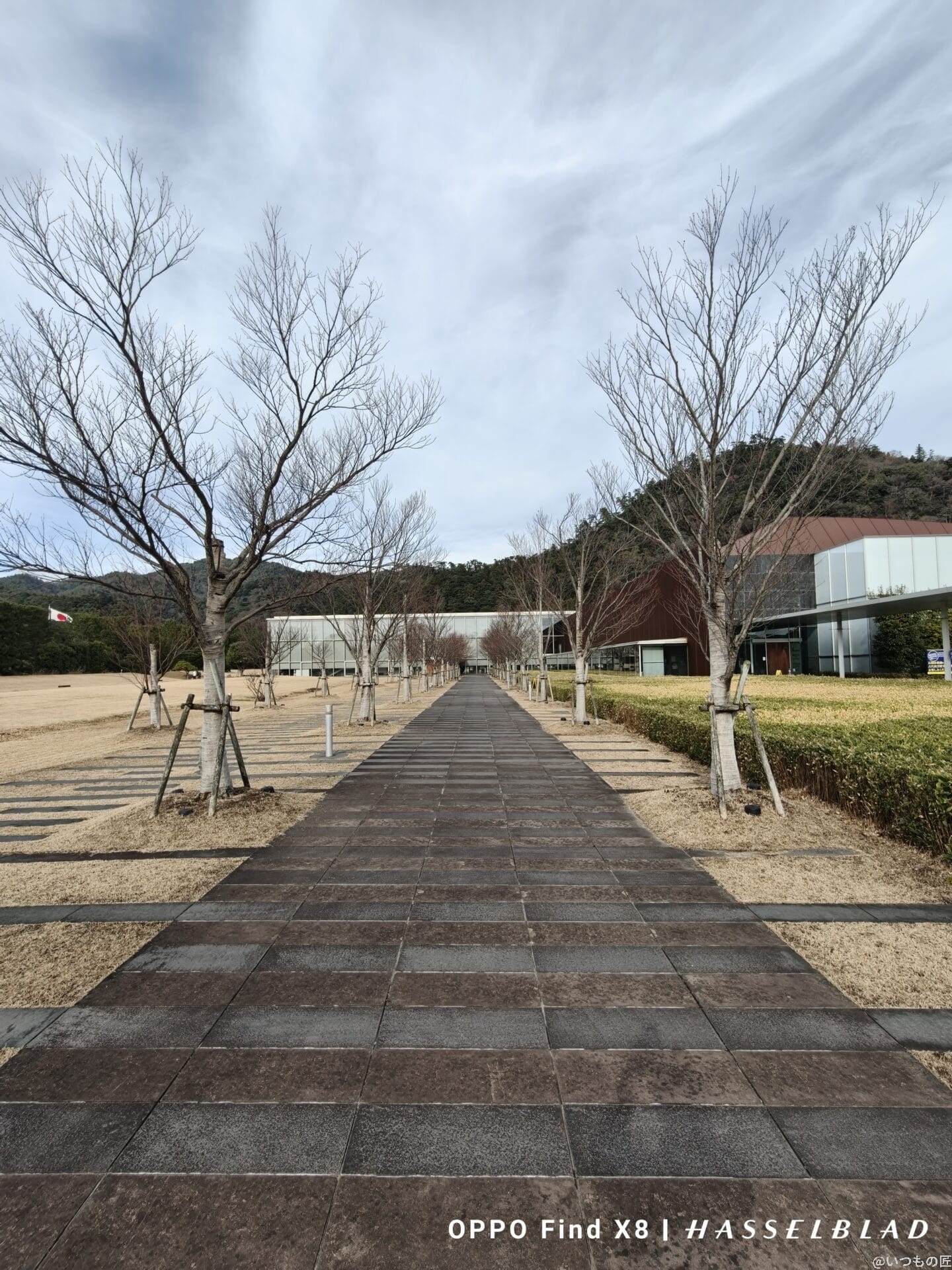oppo find x8で撮影した風景写真 | スマホを検証してみた nubia Z70 Ultra カメラ OPPO Find X8で撮影した風景写真