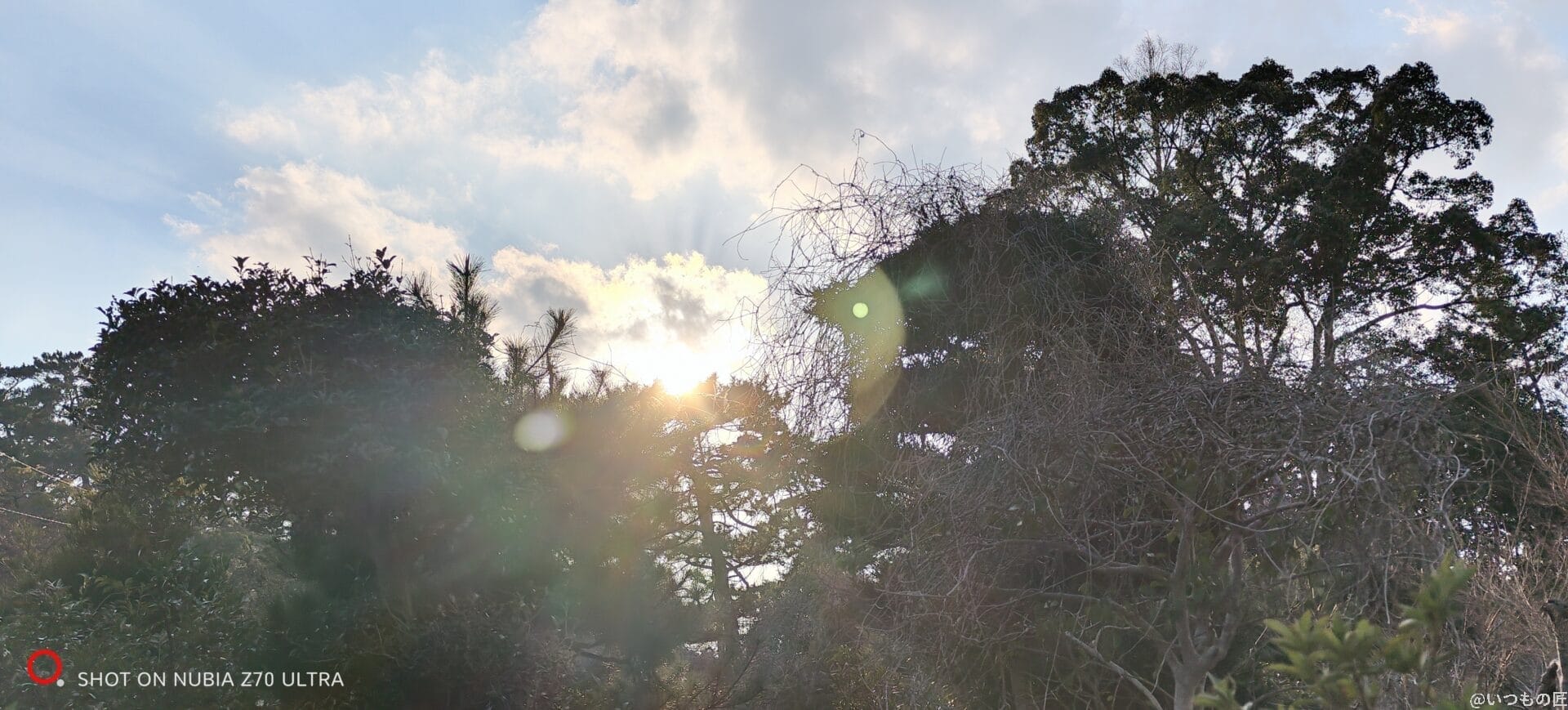 nubia Z70 Ultra カメラ
逆光下で撮影した写真