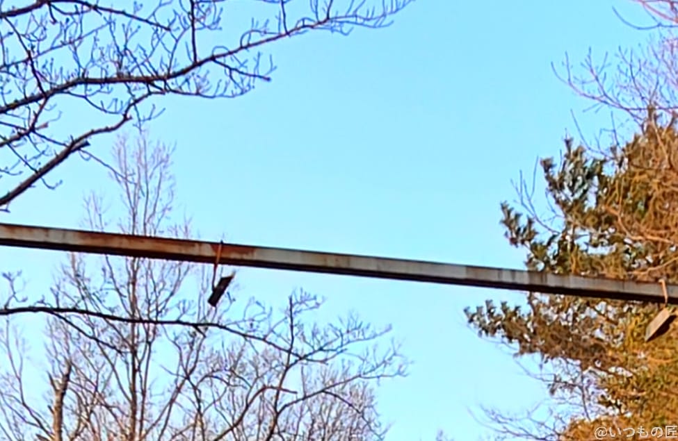 nubia z70 ultraの風景写真の切り抜き後 | スマホを検証してみた nubia Z70 Ultra カメラ nubia Z70 Ultraの風景写真の切り抜き後