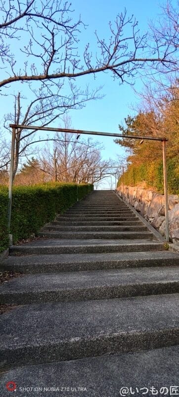 nubia Z70 Ultra カメラ 超広角カメラで撮影した風景写真