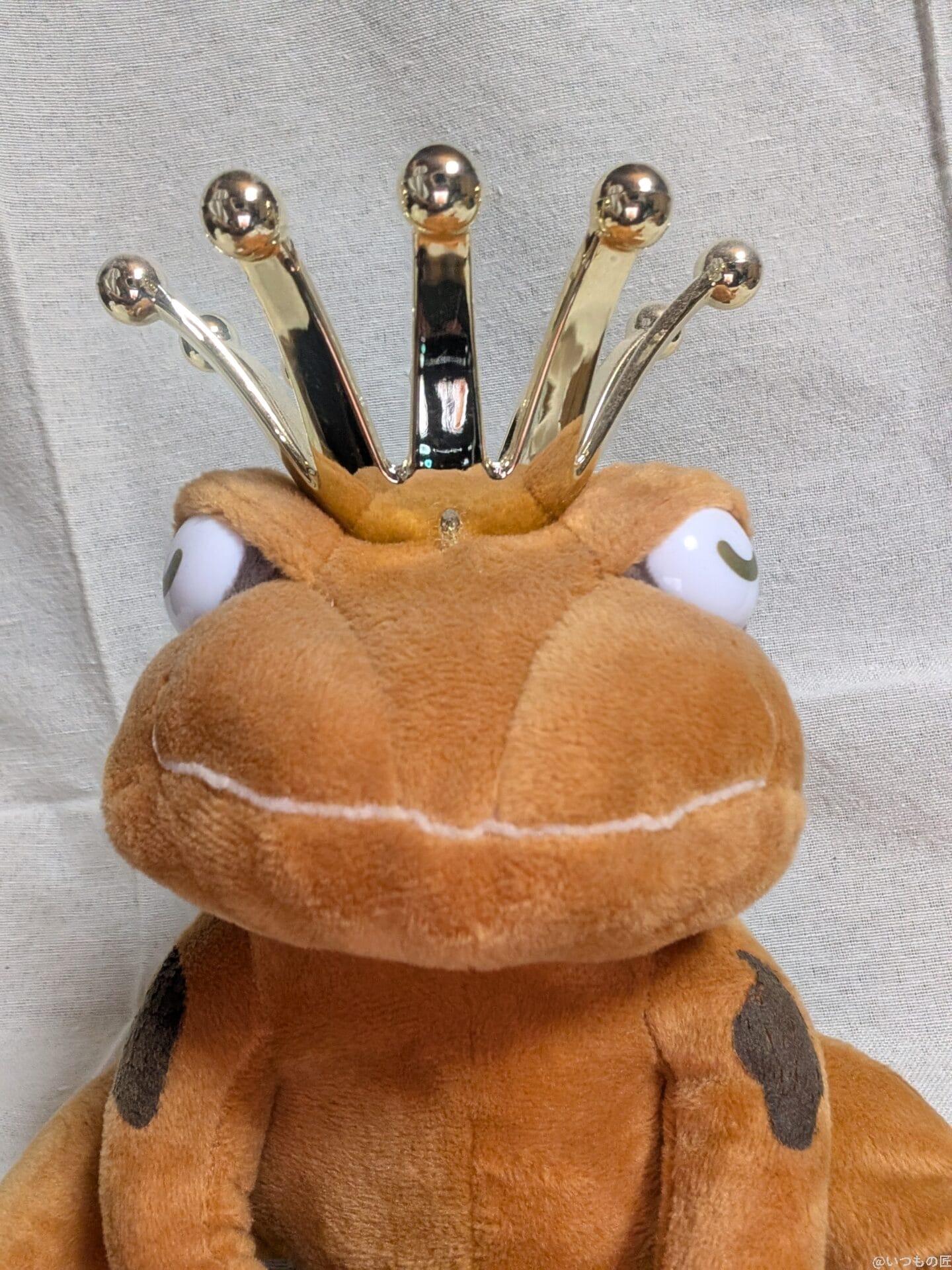 google pixel 9 proでぬいぐるみを自撮りした写真 | スマホを検証してみた nubia Z70 Ultra カメラ Google Pixel 9 Proでぬいぐるみを自撮りした写真