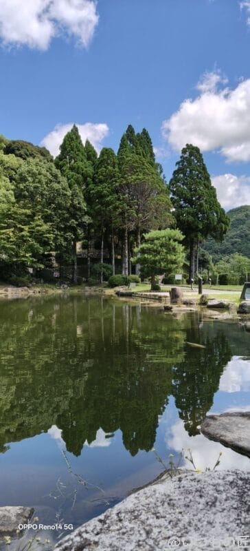 OPPO Reno14 5G カメラ 木々に囲まれた池