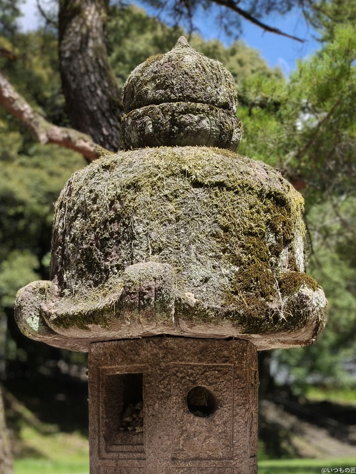 苔の緑が映える石灯篭 | スマホを検証してみた OPPO Reno14 5G カメラ 苔の緑が映える石灯篭