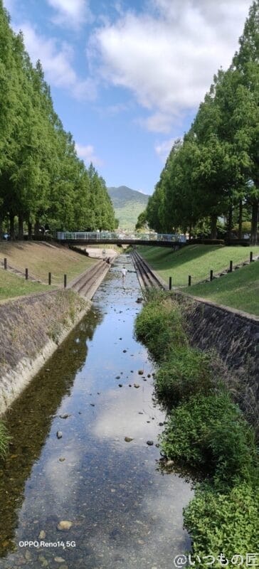 OPPO Reno14 5G カメラ 橋の下を流れる川