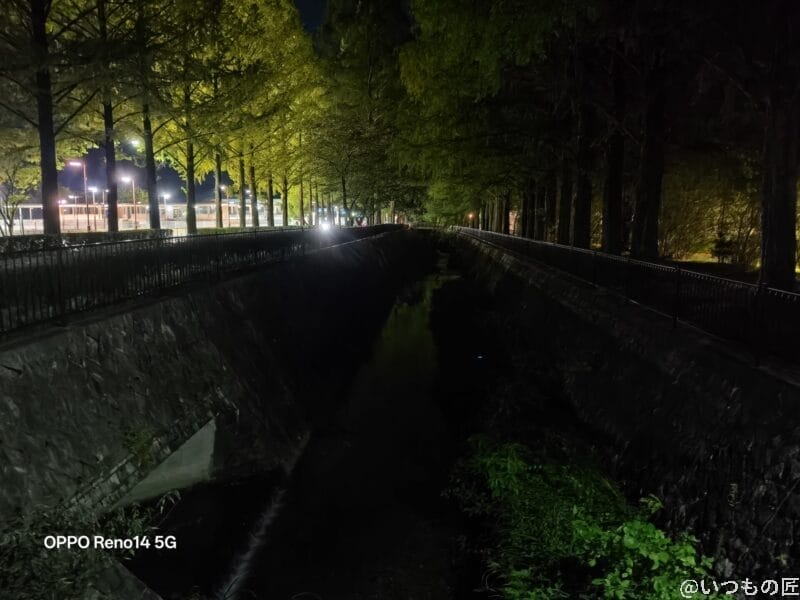夜の遊歩道 | スマホを検証してみた OPPO Reno14 5G カメラ 夜の遊歩道