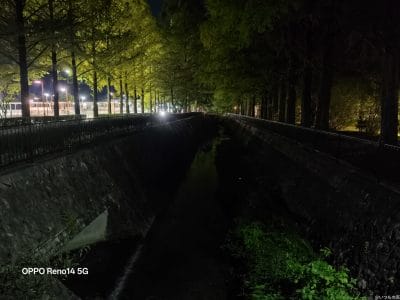 夜の遊歩道 | スマホを検証してみた OPPO Reno14 5G カメラ 夜の遊歩道