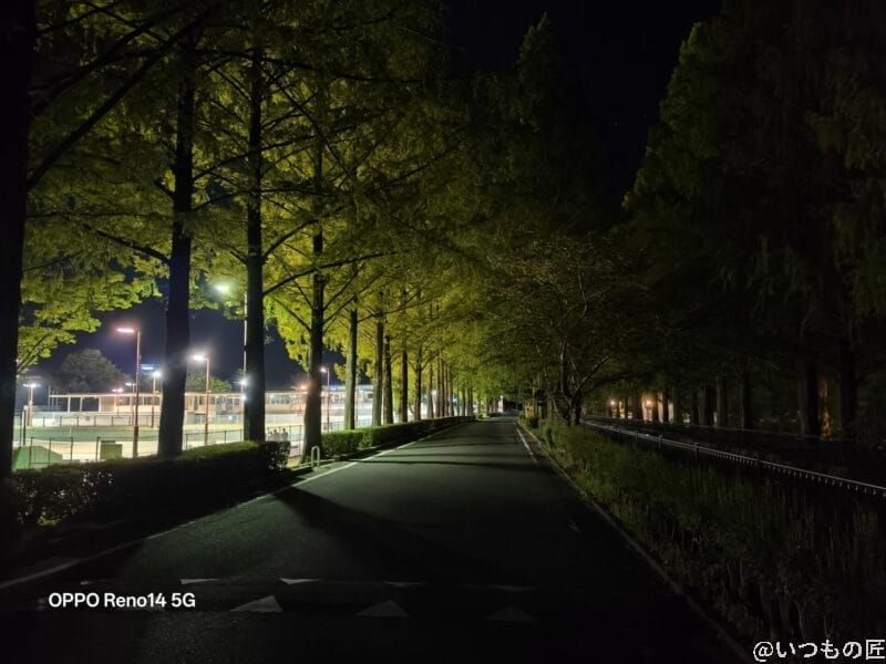 ジョギングコース脇の木々が生い茂った道路 | スマホを検証してみた OPPO Reno14 5G カメラ ジョギングコース脇の木々が生い茂った道路