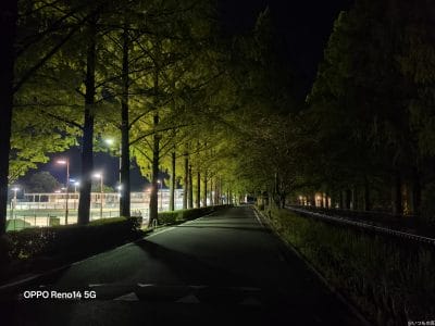 ジョギングコース脇の木々が生い茂った道路 | スマホを検証してみた OPPO Reno14 5G カメラ ジョギングコース脇の木々が生い茂った道路