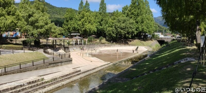 OPPO Reno14 5G カメラ 夏の森に広がる水辺