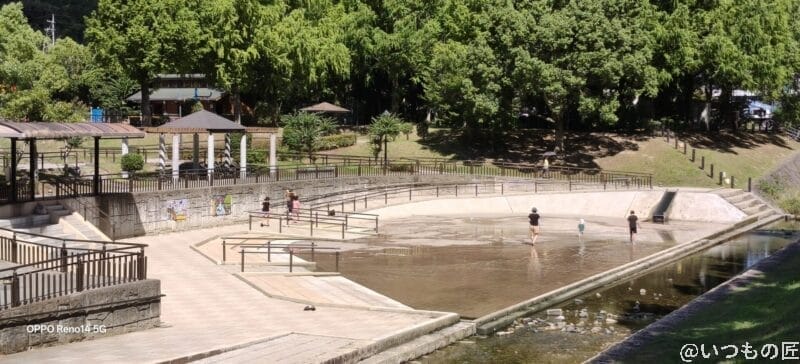 OPPO Reno14 5G カメラ 夏の森に広がる水辺