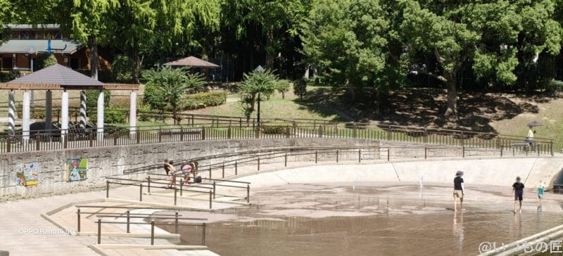 OPPO Reno14 5G カメラ 夏の森に広がる水辺