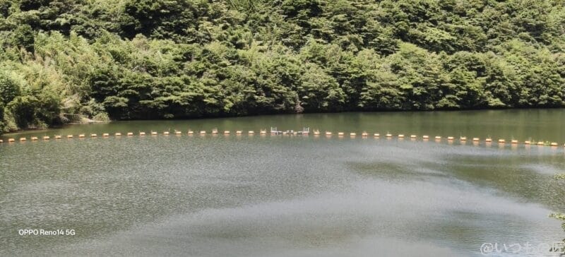 OPPO Reno14 5G カメラ ダム湖を漂う黄色の標識ブイ