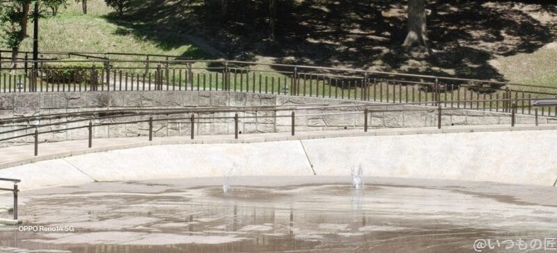OPPO Reno14 5G カメラ 夏の森に広がる水辺