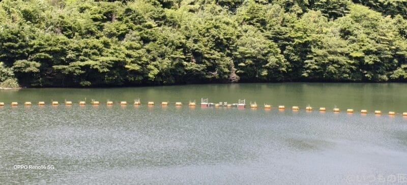 OPPO Reno14 5G カメラ ダム湖を漂う黄色の標識ブイ